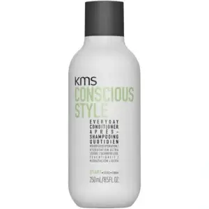 Consciousstyle everday conditioner 250ml