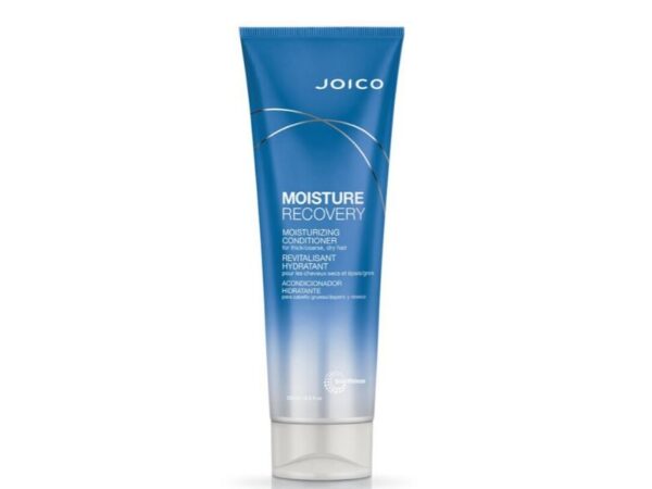 Joico Moisture Recovery Conditioner 250ml