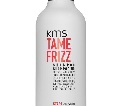 TAMEFRIZZ SHAMPOO 300ml